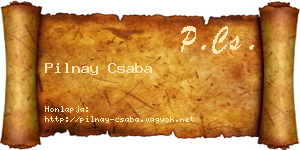Pilnay Csaba névjegykártya